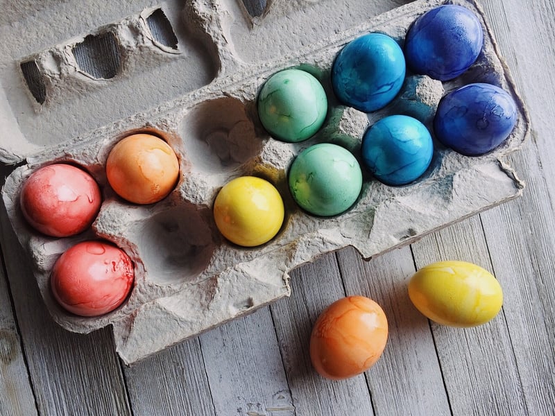 Egg Carton Art Organizer
