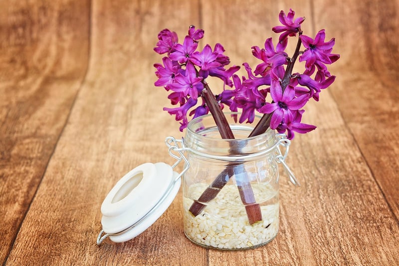 Glass jar flower vases