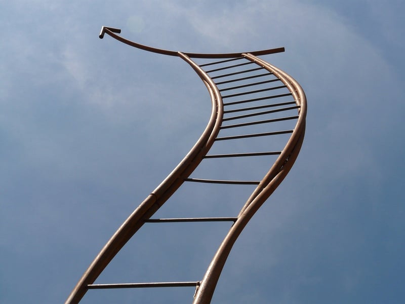 Ladder Shelf