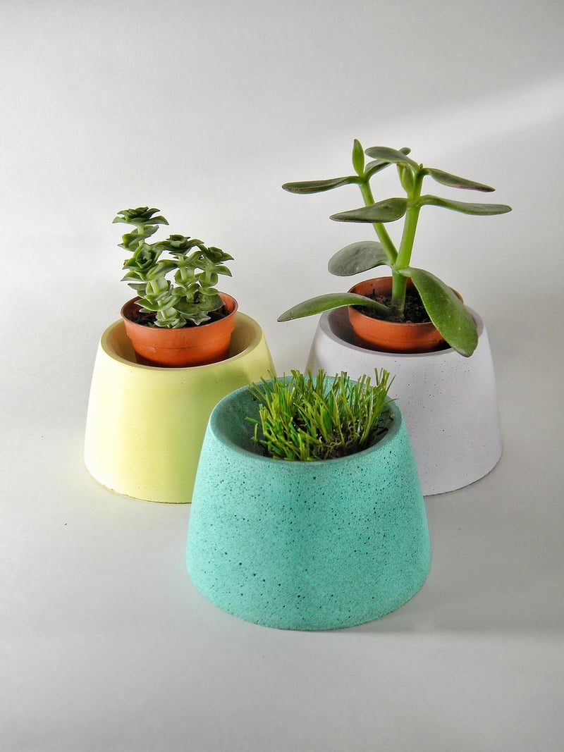 Biodegradable Planters